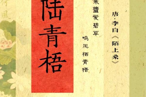 字里行间：探寻名字的独特魅力