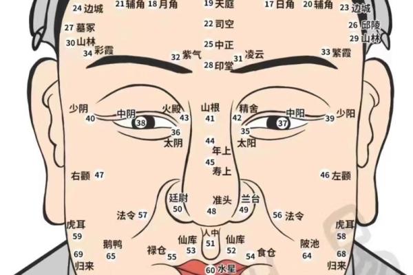 面相解码：智慧之光——揭秘面相中的聪明痣