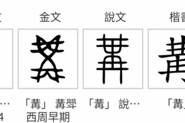 鈢名字的独特寓意与象征解析