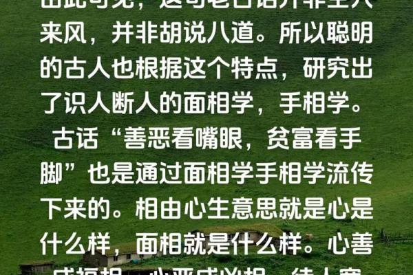 识人识面：解码男性面相中的能力密码