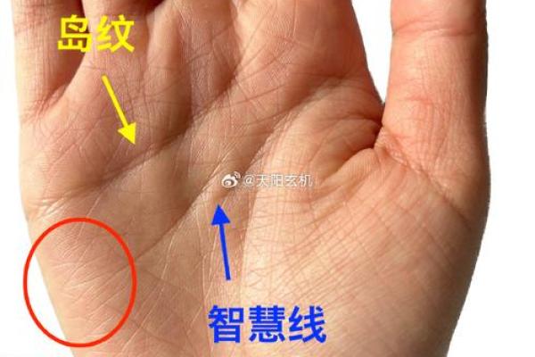 手背青筋显露，面相预示财运亨通！