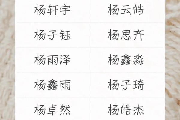 精选杨姓四字女孩名字，赋予宝宝独特气质