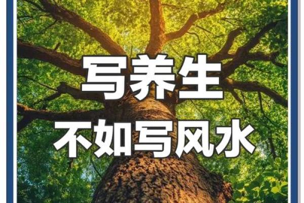 家居风水提升职场运势，让你脱颖而出