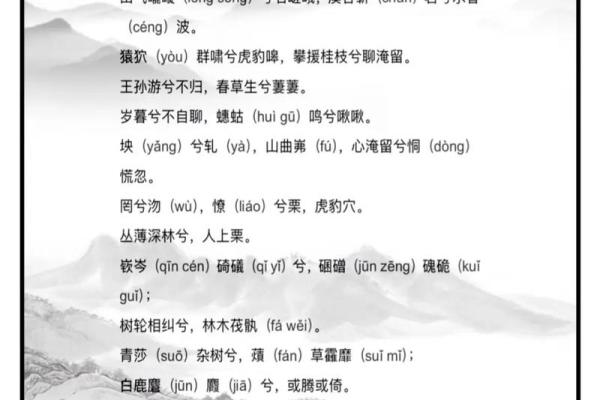 古代王者的名字背后隐藏的深意与象征