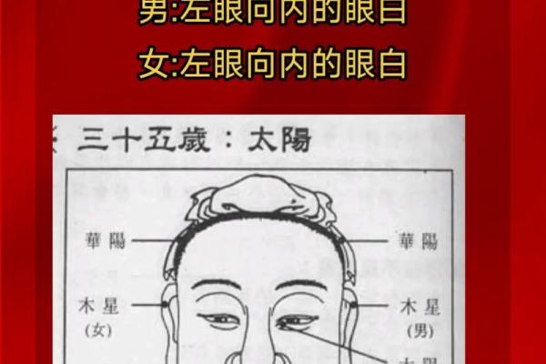 耳垂扭曲，命运多舛：面相揭秘