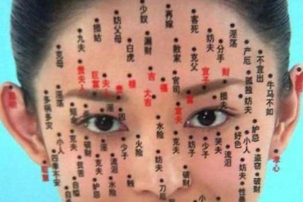 玉岭面相揭秘：命运掌握在你的脸上？