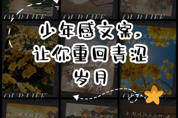 青涩岁月，墨染流年：墨轩少年意气风发