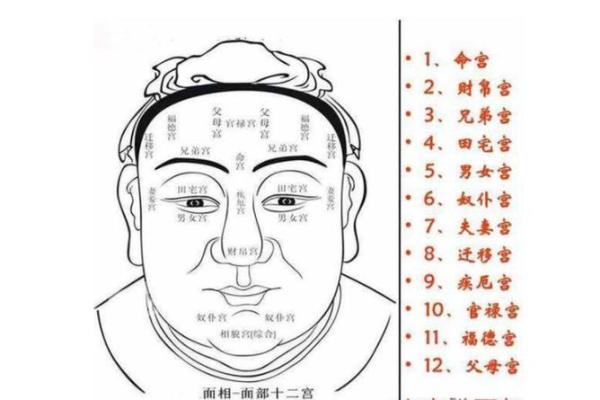 识面观世：面相中蕴藏的职场秘籍，一眼洞察事业走向