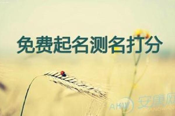免费公司起名测分 让您的企业名称更具吸引力