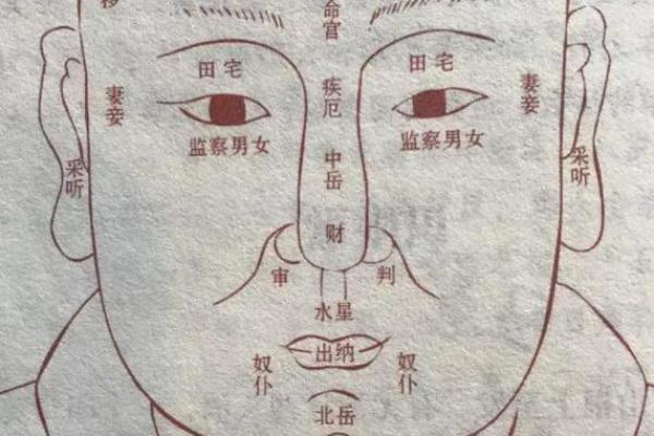 男子面相之富贵气质：五官布局揭秘财运亨通之道