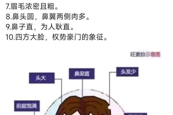 男子面相之富贵气质：五官布局揭秘财运亨通之道