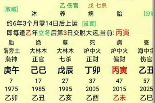 生辰八字中的子午宫解析