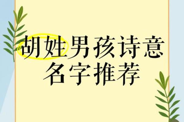 胡无敌：探寻霸气男孩名字的深层含乿
