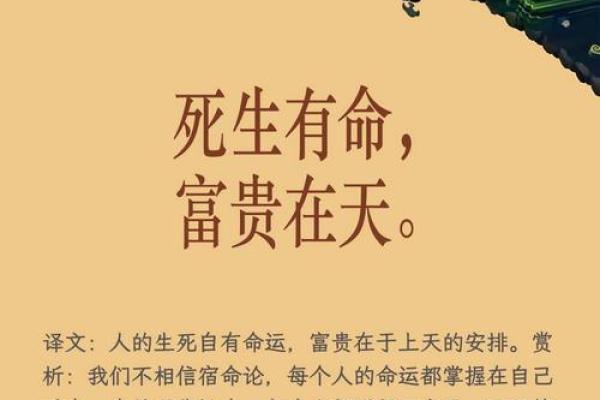 苦命面相：眉宇间藏着岁月沧桑