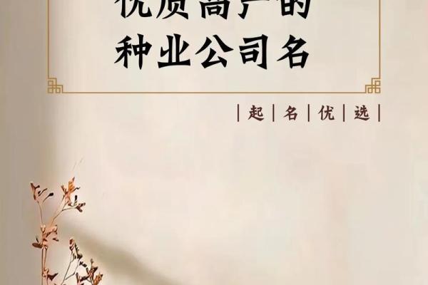 名字的力量：术士名字如何影响运势与命迿