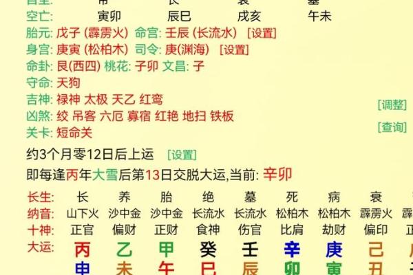 名字的力量：术士名字如何影响运势与命迿
