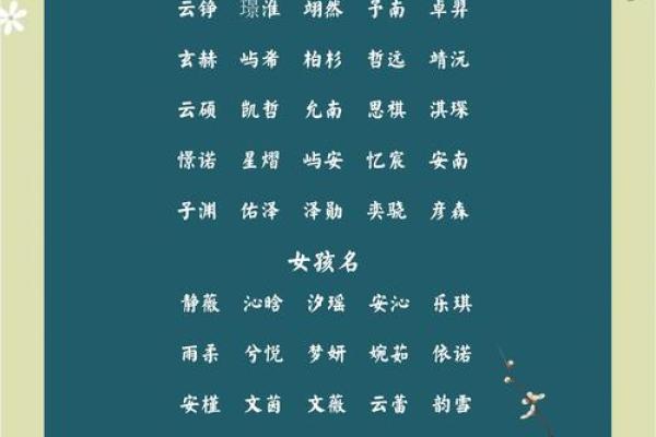 名字解析：揭秘打100分男孩名字的内涵与寓愿