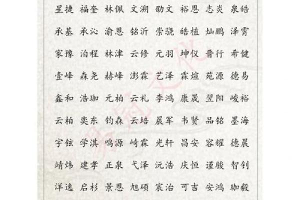 名字解析：揭秘打100分男孩名字的内涵与寓愿