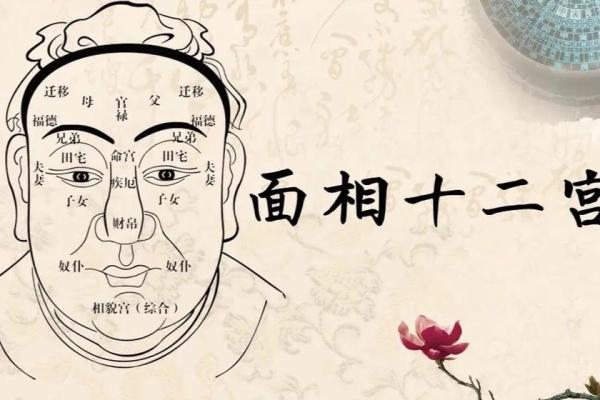 男人骨高面相：解析雄伟之态的运势与性格