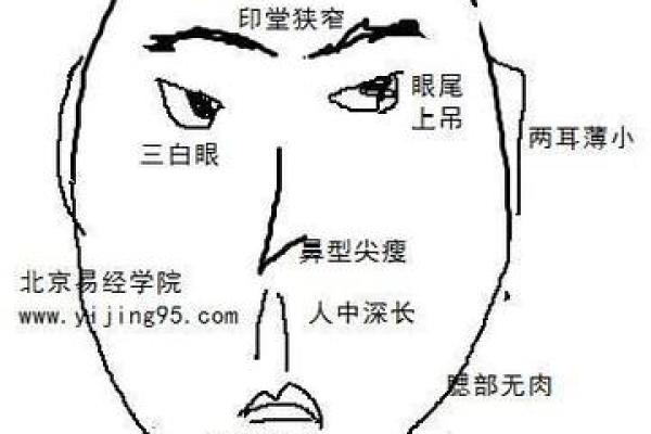男人骨高面相：解析雄伟之态的运势与性格
