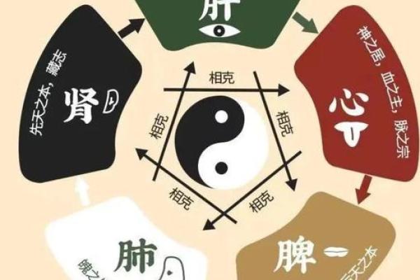 五脏五行调和法
