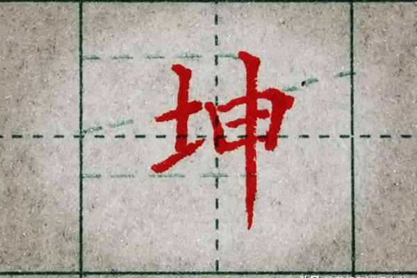 坤字在公司起名中的独特魅力与文化象征