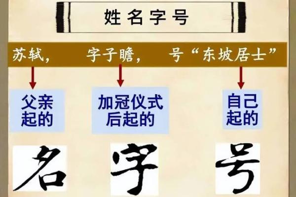 姓名文化探寻：益用名字背后的深刻寓意
