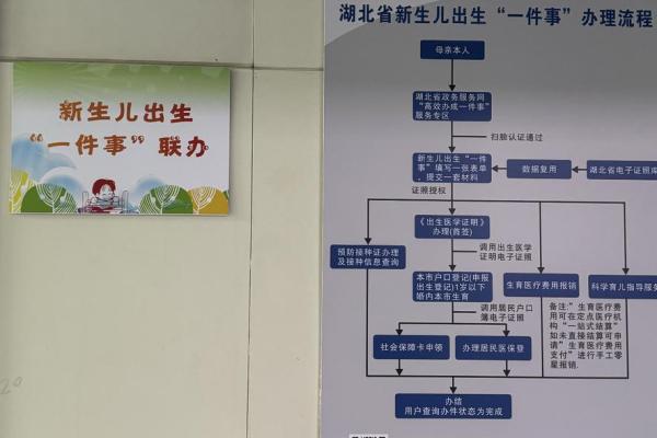 改名字不求人！新生儿姓名变更流程详解