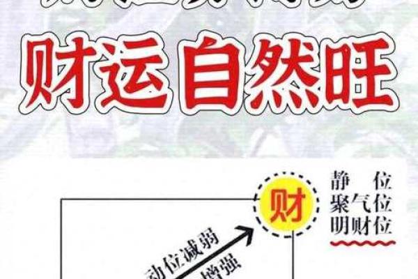 家居风水禁忌大公开，让你住得安心又舒适！