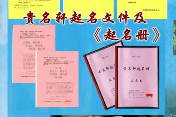 北京起名公司评价排名解析