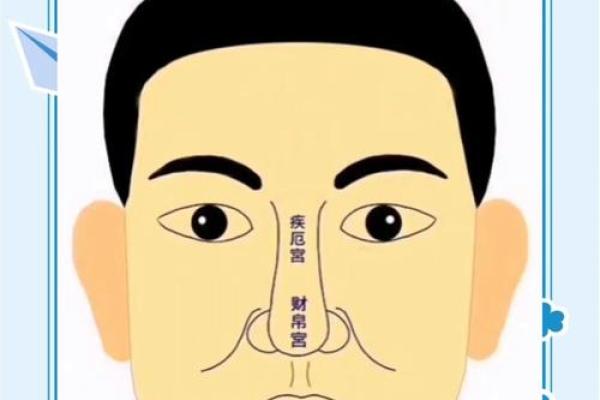 鼻尖藏富贵，面相透露人生财富密码