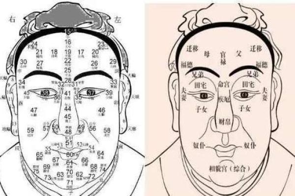 面相揭秘：眉眼之间，命运密码尽现无遗