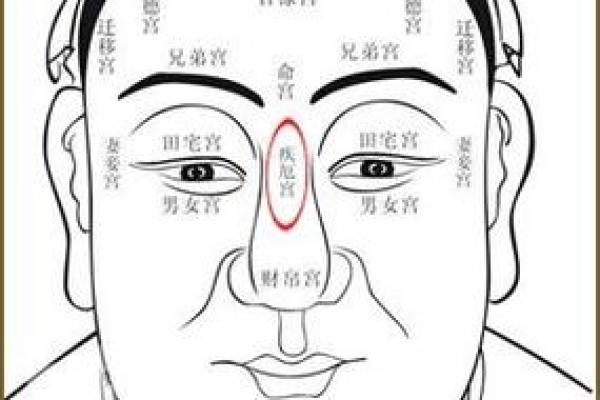 山根丰隆，财运亨通：揭秘面相中的富贵象征