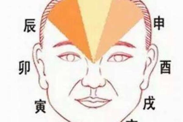 损德之人，面相揭露其阴暗面
