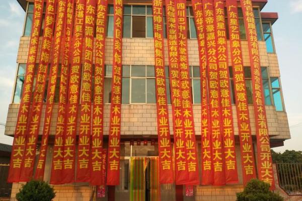 如何运用佳字为公司命名，展现品牌价值