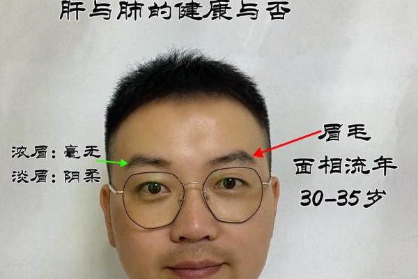 男人胖面相，财富与福气的象征！