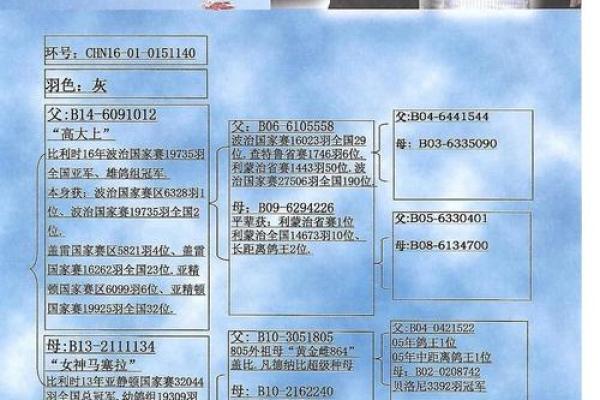 鸽鸣职场，揭秘办公室鸽舍风水秘籍
