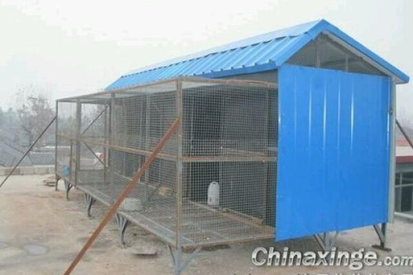 鸽鸣职场，揭秘办公室鸽舍风水秘籍