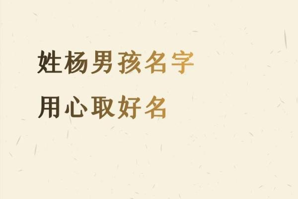 如何为杨姓宝宝起个既有文化底蕴又富有个性的名字