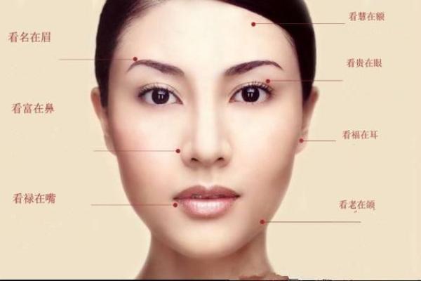 面相解码：下巴图片大全解析人生运势与性格特点