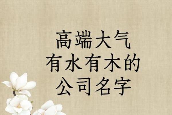 挑选带水字旁的公司名字的五大要素