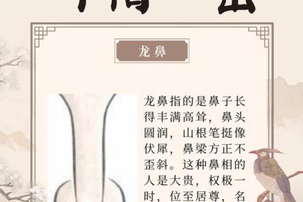 面相巅峰：揭秘最旺运势的神秘面相之谜