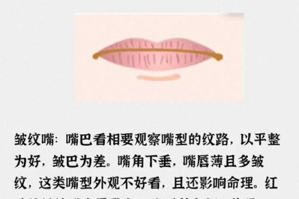 嘴突面相：揭示命运与性格的秘密