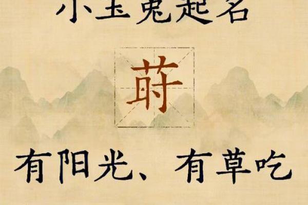 创意宝宝名字大全：个性与寓意的完美结吿