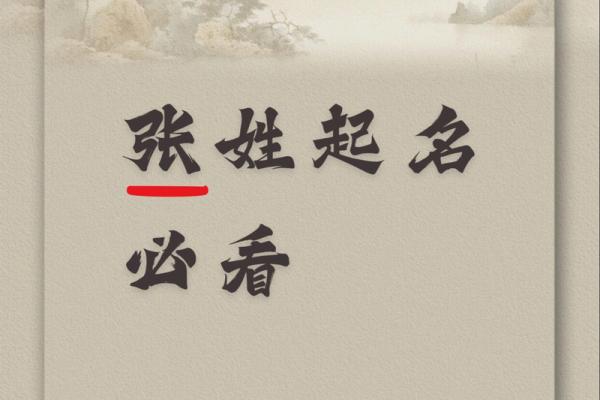 张准：名字背后的寓意与传承