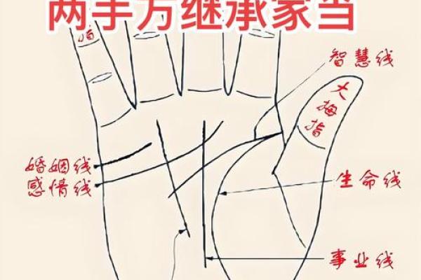 面相揭秘：易经智慧下的命运之门