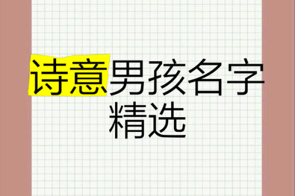 名字如画，诗意盎然：画轩少年梦随飿