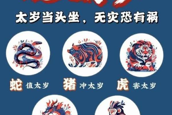 面相龙蛇入口，运势逆天爆发！