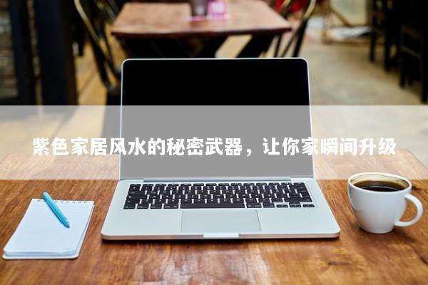 紫色家居风水的秘密武器，让你家瞬间升级