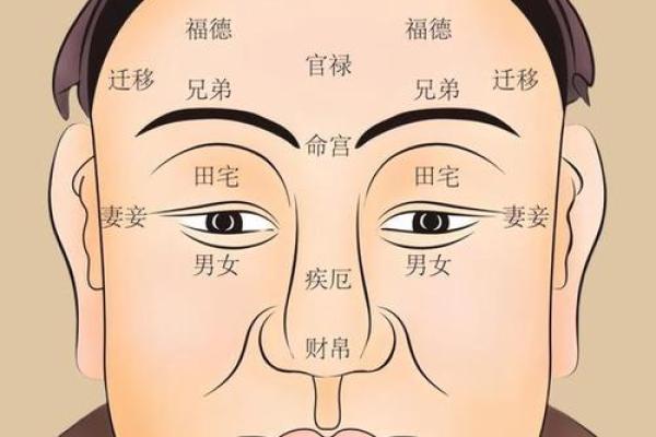 面相解析：气韵生动，运势自现